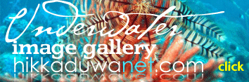 Underwater Image Gallery
